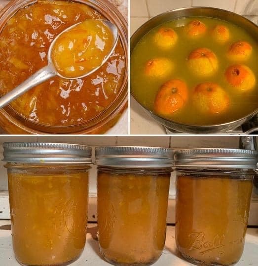 Como fazer uma geleia de laranja e cenoura