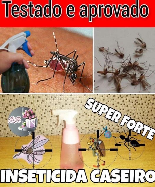 Como fazer um Inseticida de Mosquito Caseiro